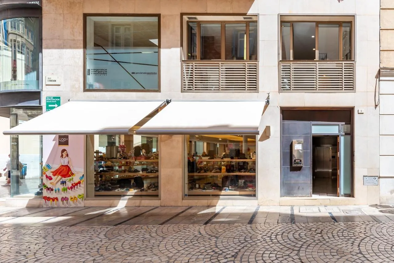 Vistas Panoramicas Calle Larios Malaga Apartment